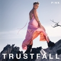 P!nk :: Trustfall | RCA Records Label | EAN 0196587726522 | 17.02.2023