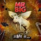 Mr. Big :: What if...
